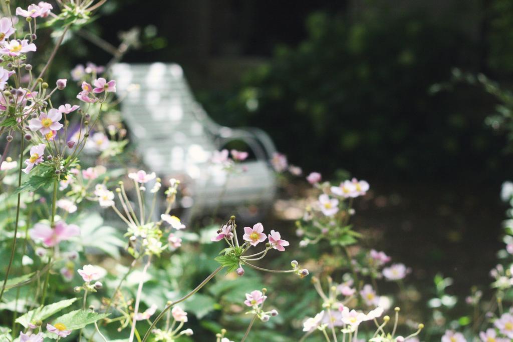 Le Bonheur A La Campagne Bed & Breakfast Lesmont ภายนอก รูปภาพ