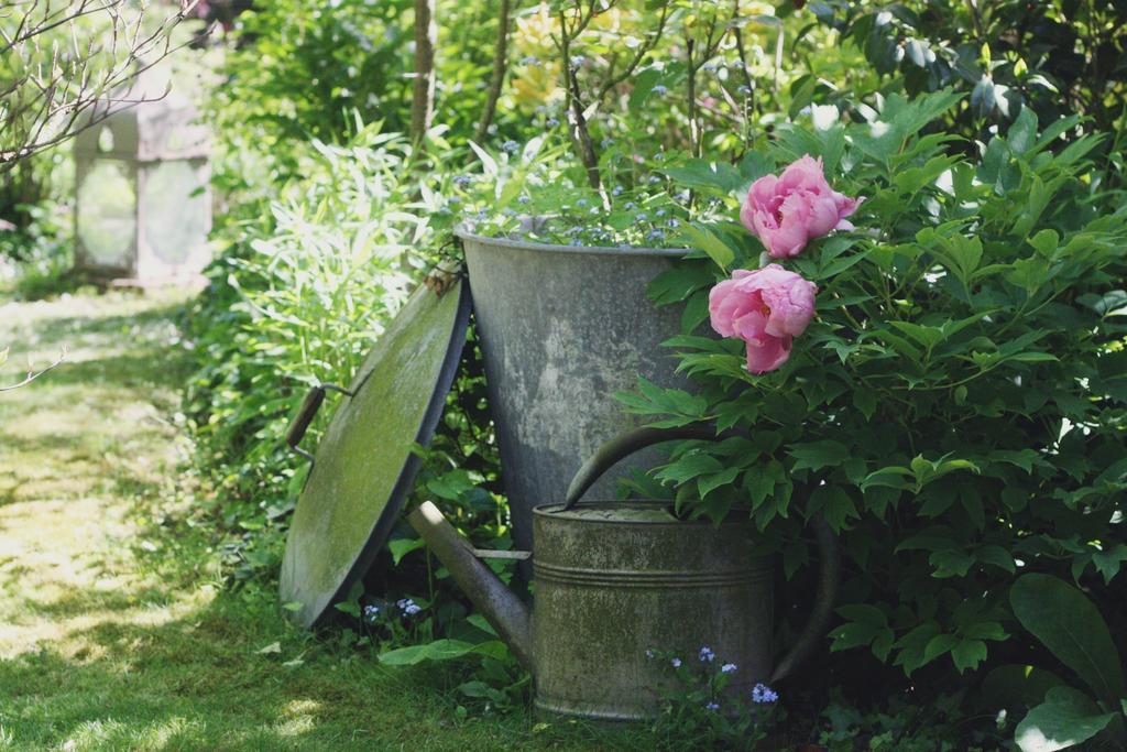 Le Bonheur A La Campagne Bed & Breakfast Lesmont ภายนอก รูปภาพ