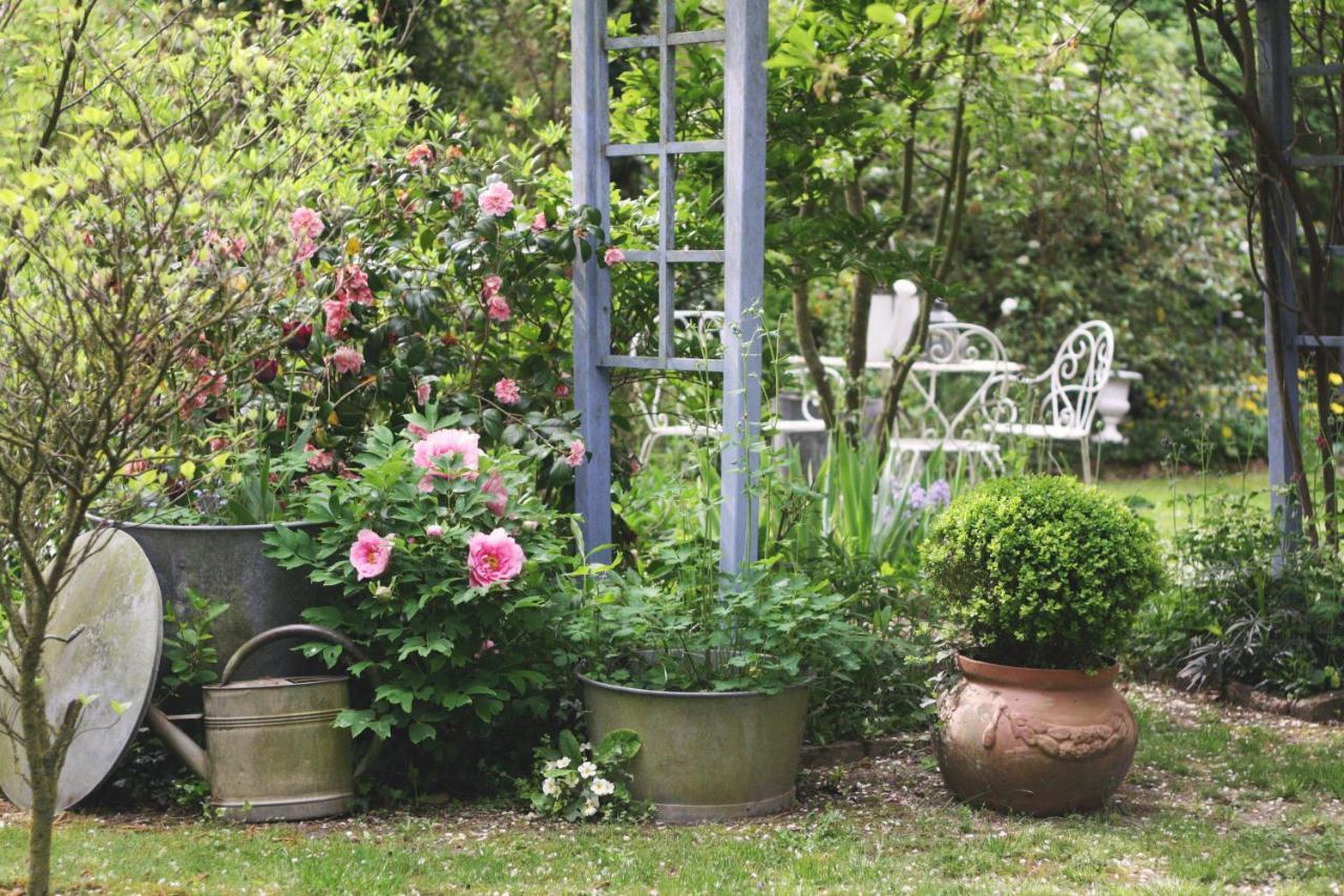 Le Bonheur A La Campagne Bed & Breakfast Lesmont ภายนอก รูปภาพ